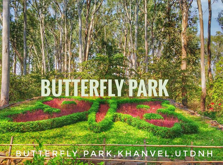 Butterfly Park,Khanvel