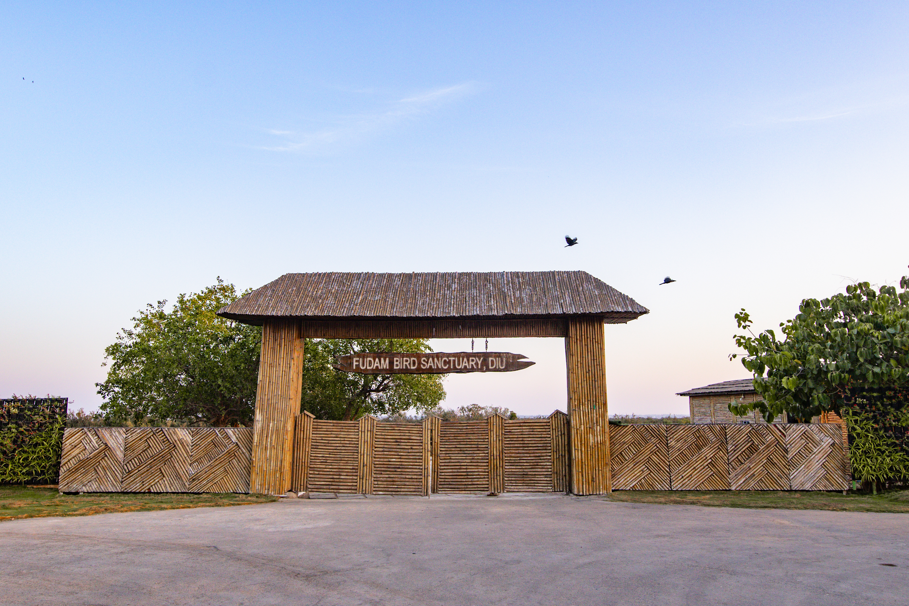 Fudam Bird Sanctuary, Diu